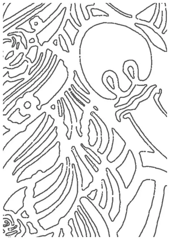 Arabic calligraphy coloring page