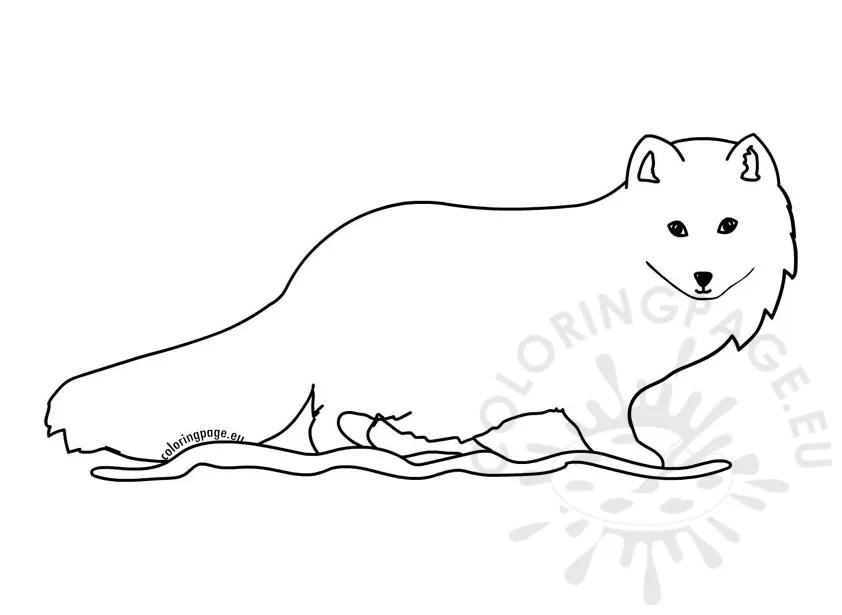 Arctic fox coloring page
