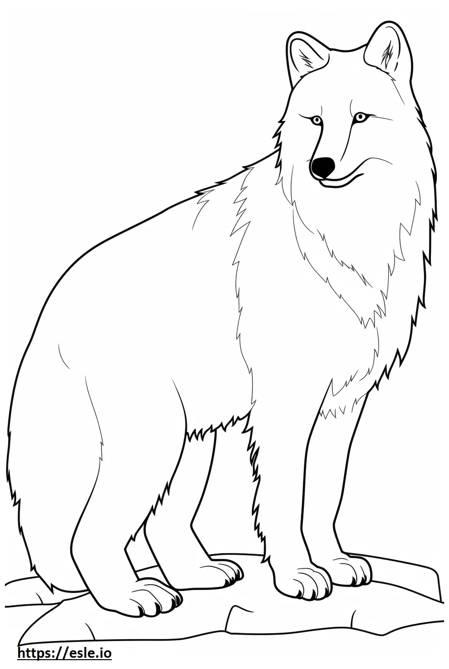 Arctic fox friendly coloring page