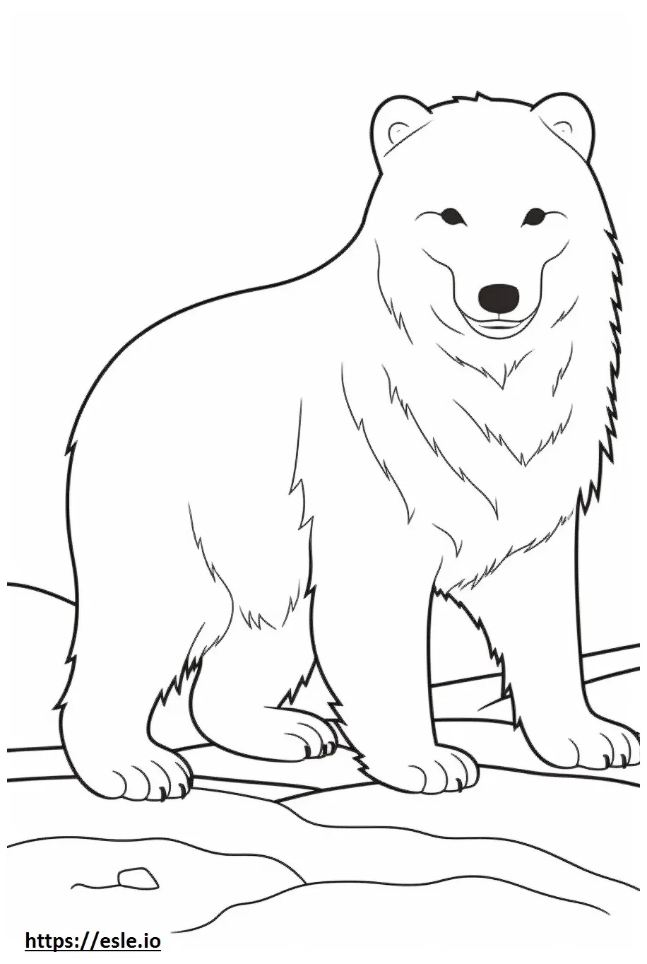 Arctic fox playing coloring page