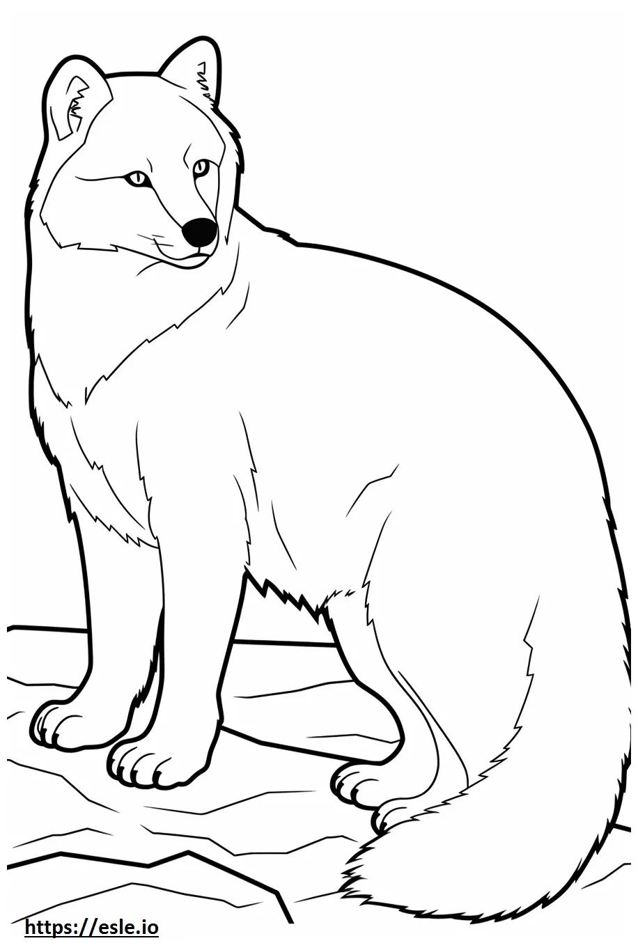 Arctic fox happy coloring page printable coloring page
