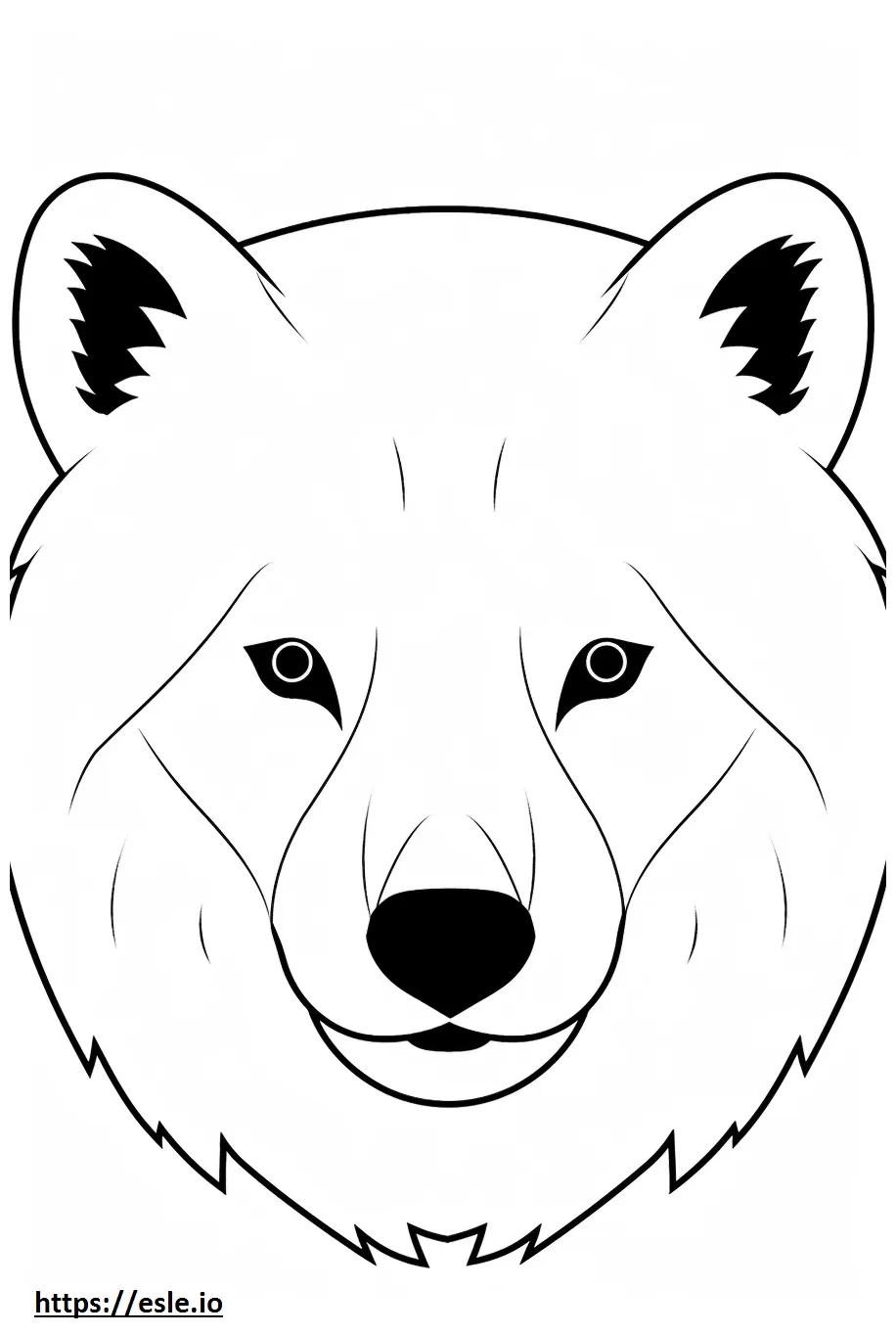 Arctic fox face coloring page