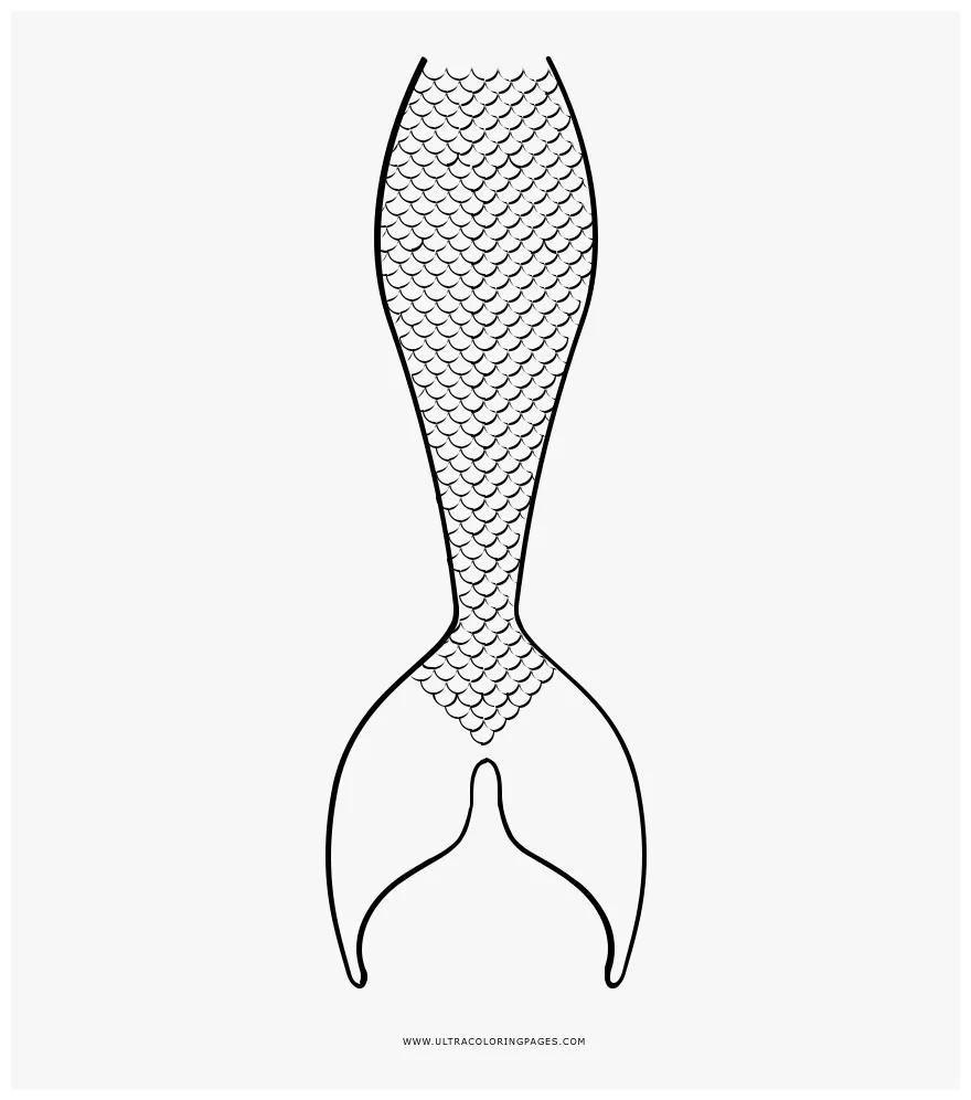 Mermaid Tail Coloring Page - Mermaid Tail Coloring Pages, HD Png