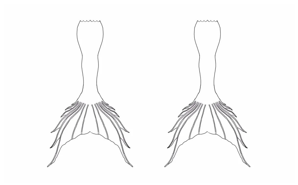 Mermaid Tail Coloring Page