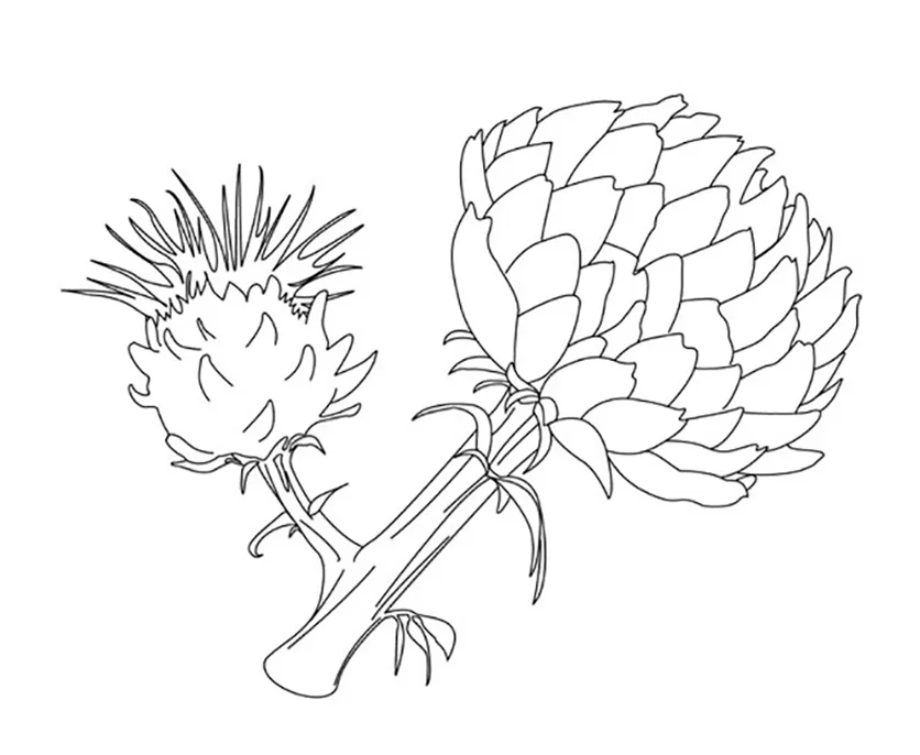 S best coloring pages for kids