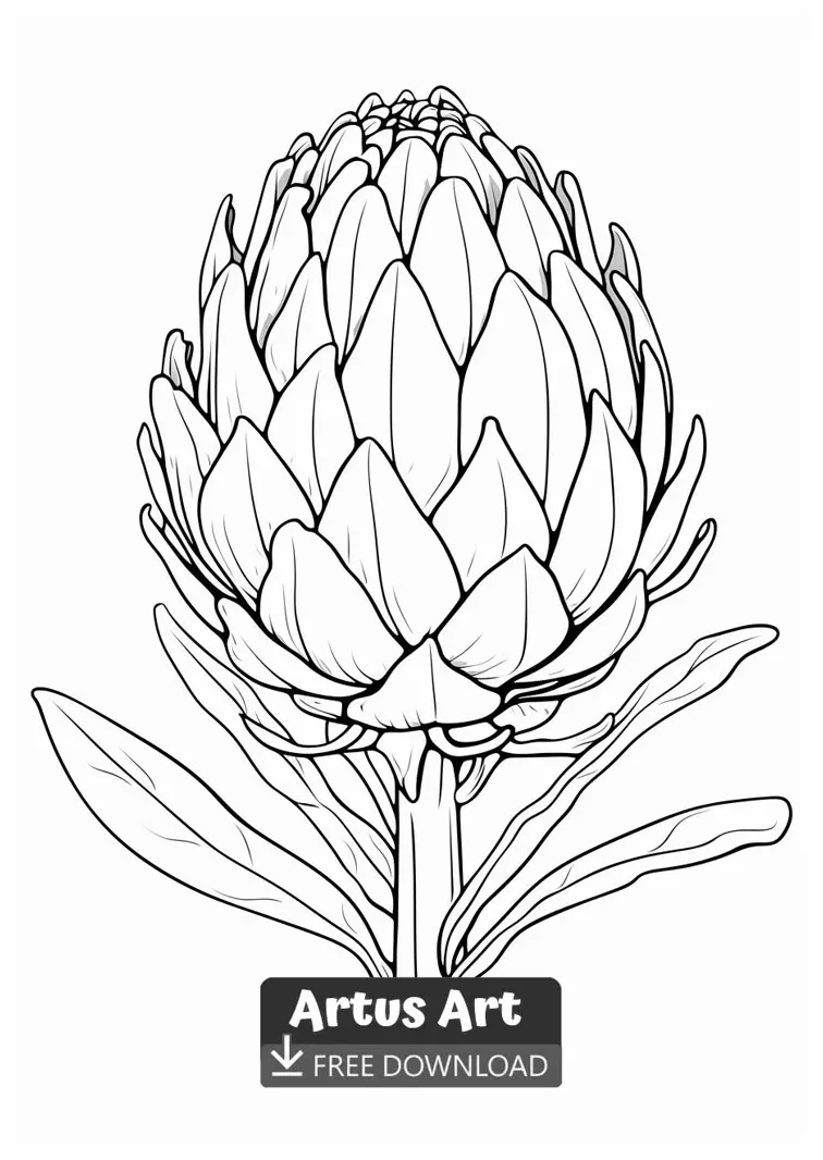 Artichoke sketch coloring page coloring pages, sketches, art