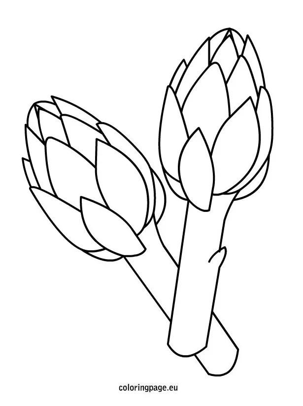 Artichokes coloring page coloring page