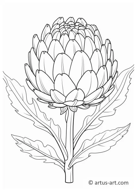 Artichoke field coloring page » » artus art