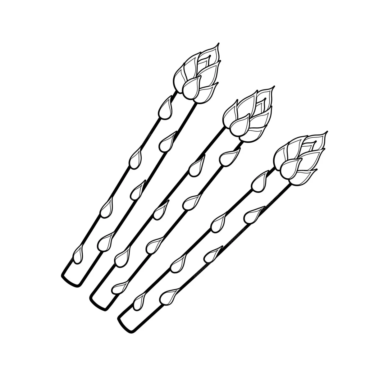 Asparagus coloring page