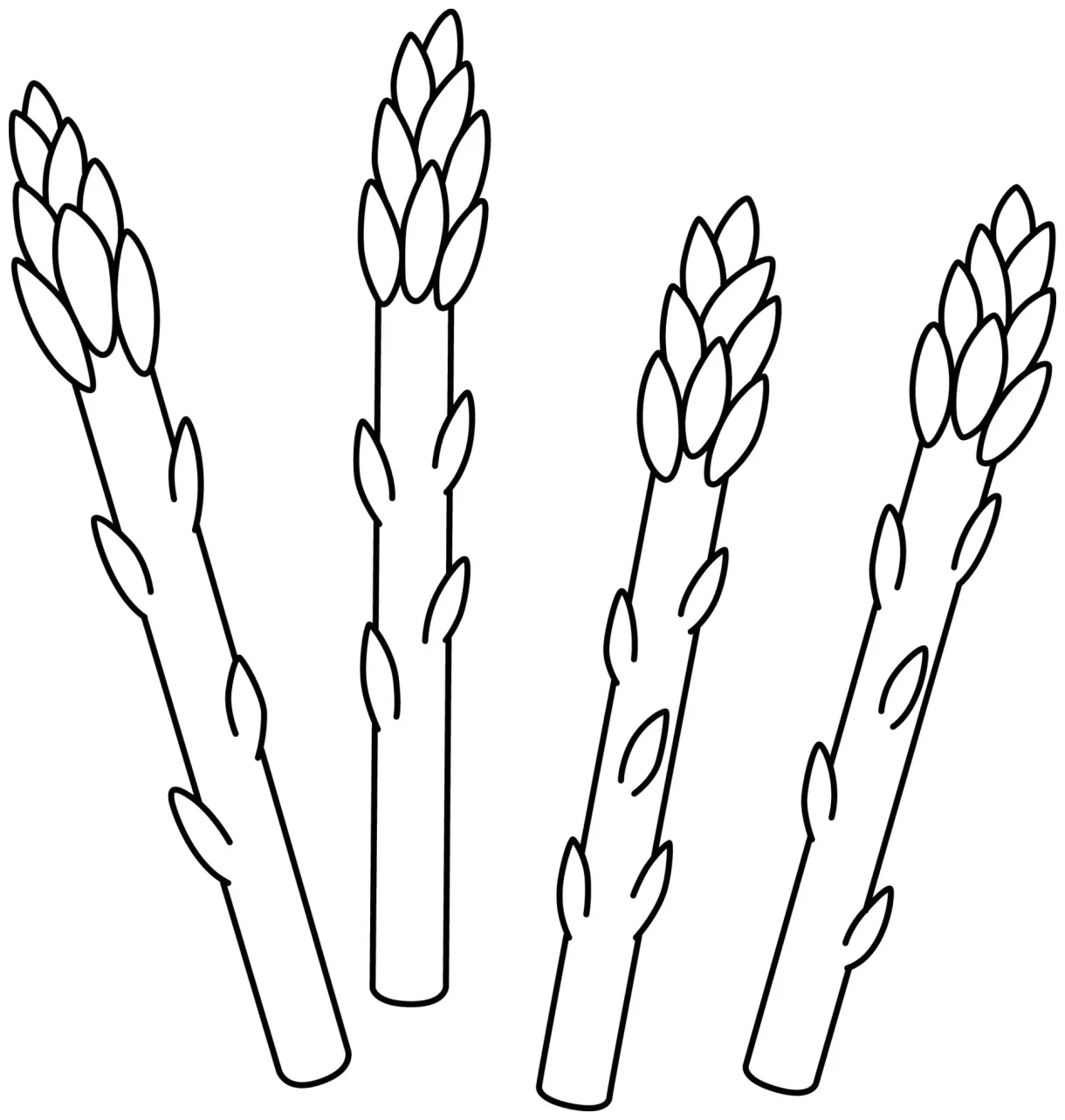 Asparagus vegetable isolated coloring page 11487046 vector art at vecteezy