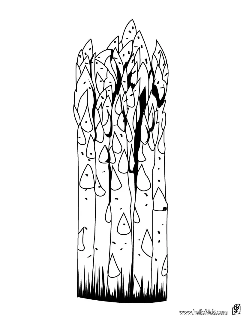 Asparagus coloring page printable coloring page