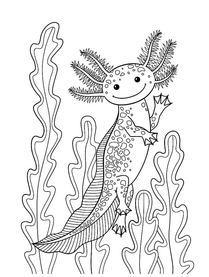 Axolotl coloring page