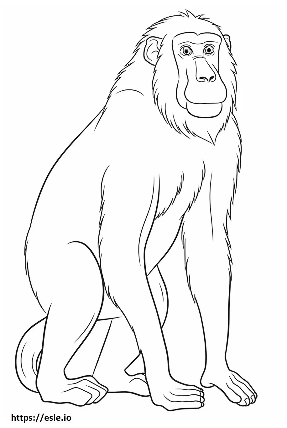 Baboon cartoon coloring page