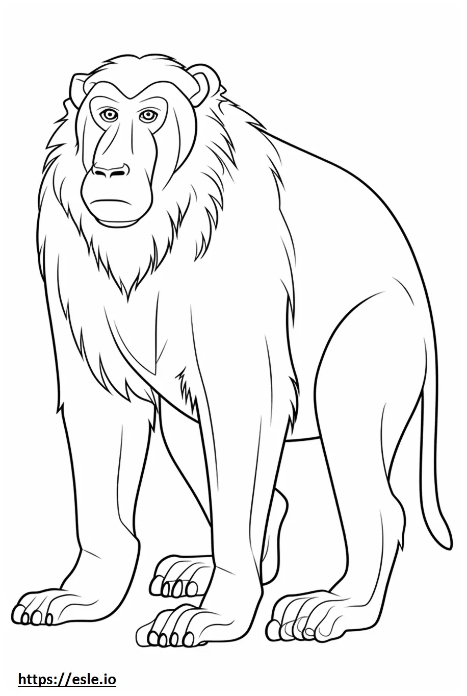 Baboon cute coloring page