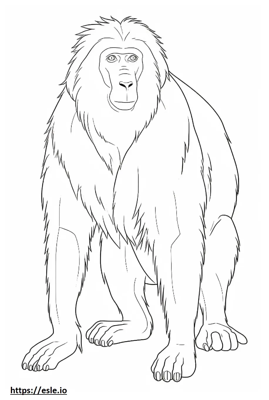 Baboon friendly coloring page