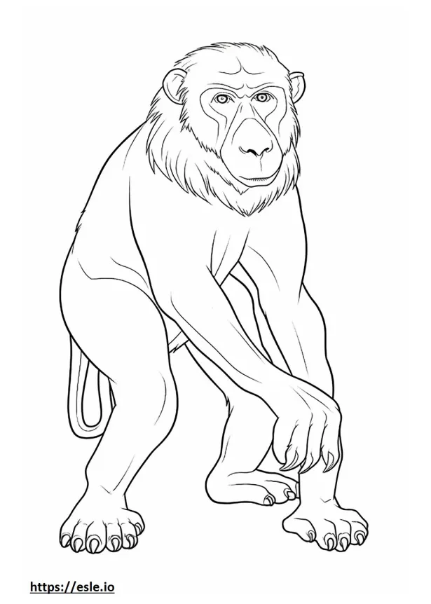 Baboon playing coloring page printable coloring page