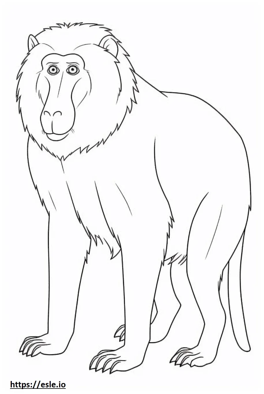 Baboon friendly coloring page