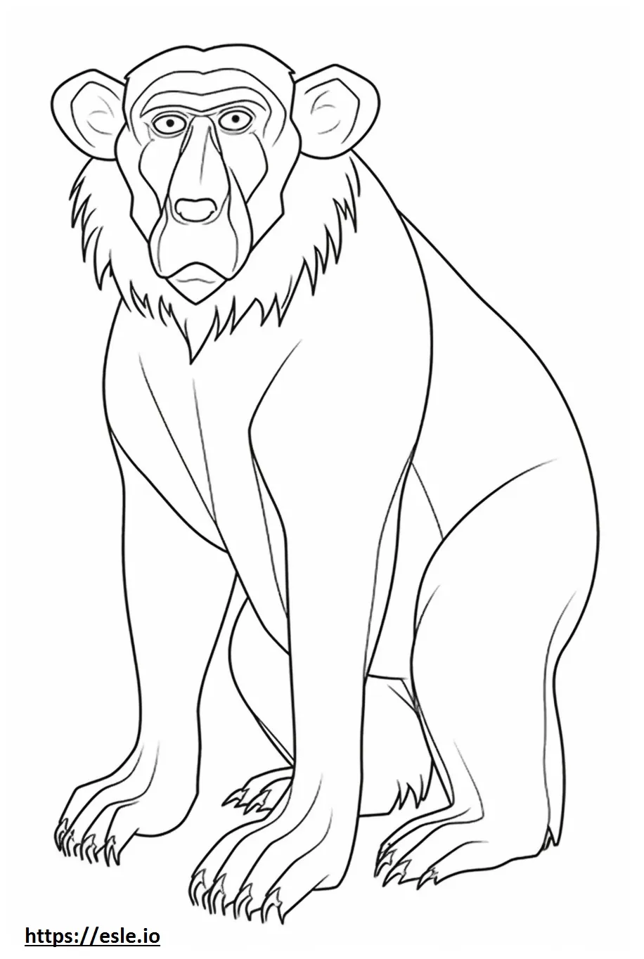 Baboon happy coloring page