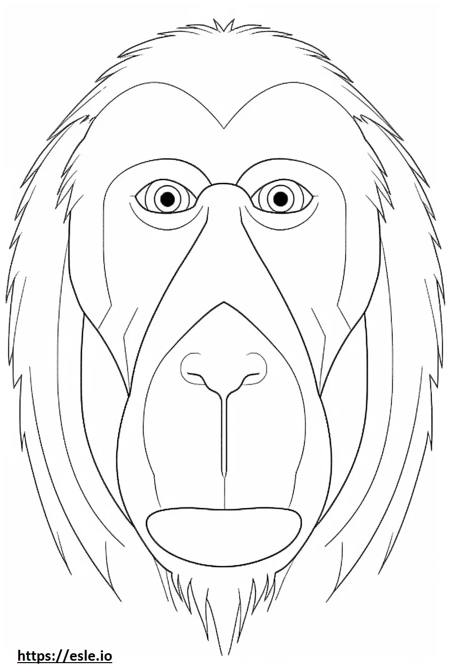 Baboon face coloring page
