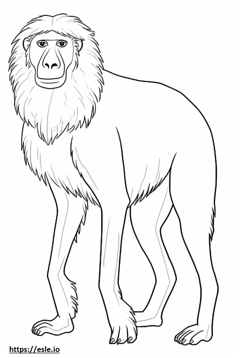 Baboon happy coloring page
