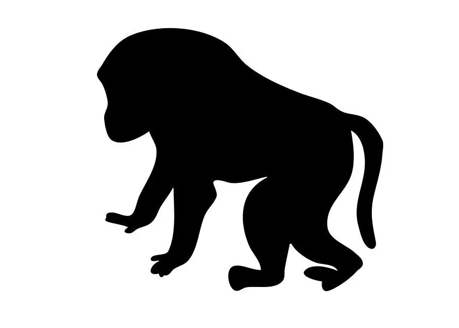 Coloring page baboon free printables img 10219