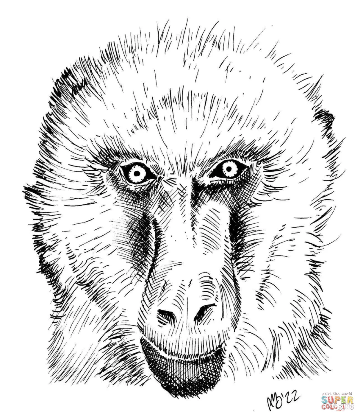 Baboon head coloring page free printable coloring pages