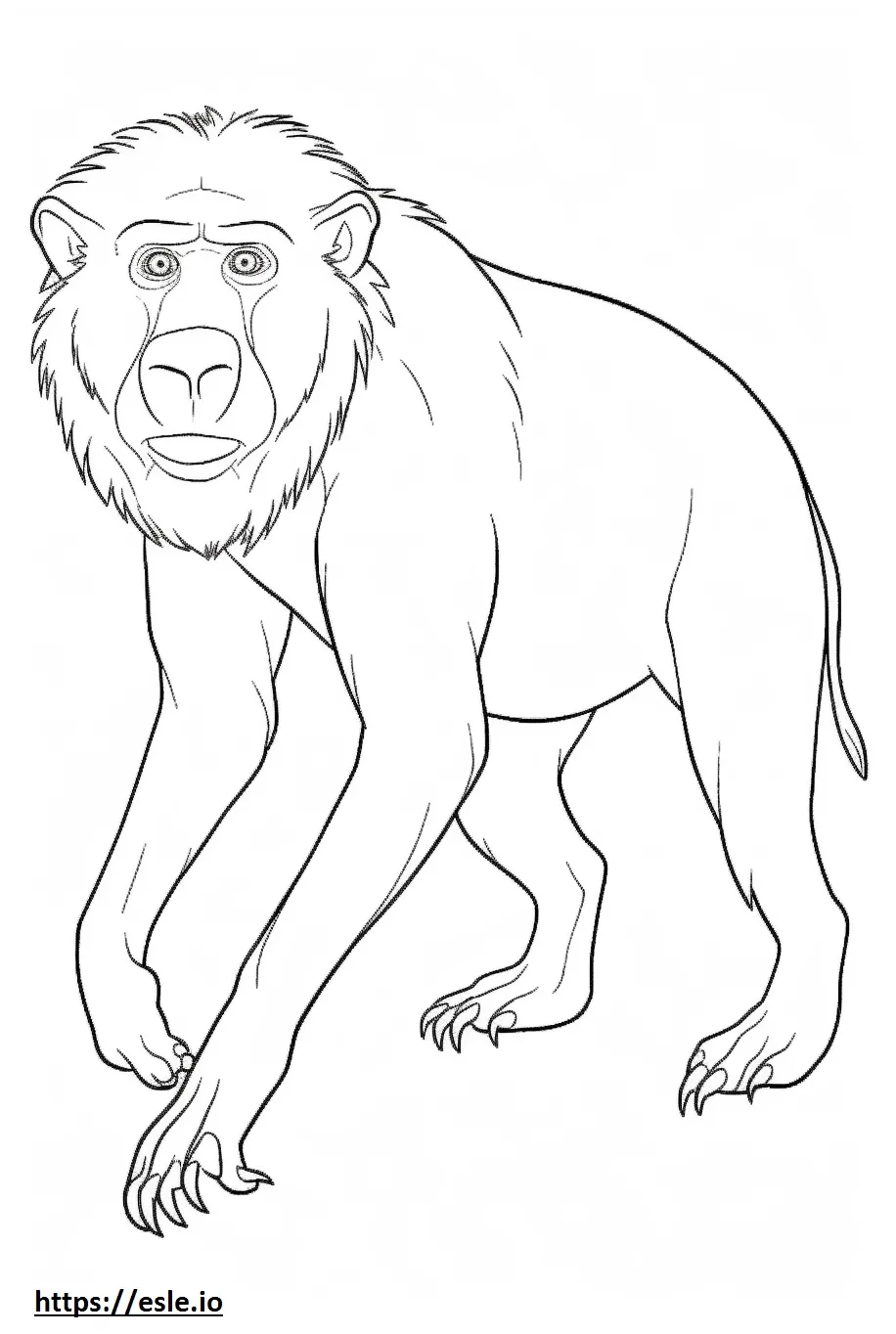 Baboon playing coloring page