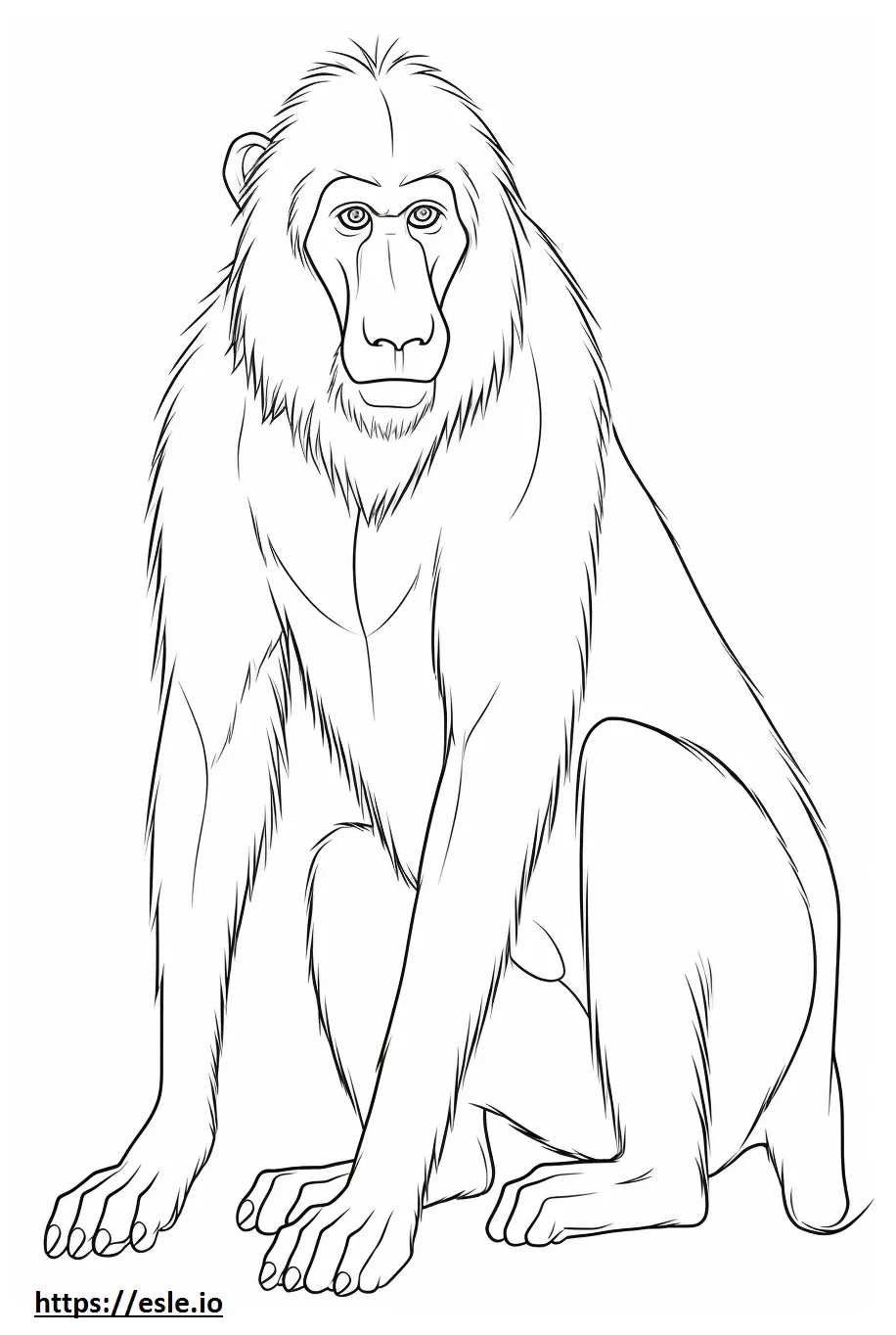 Baboon cartoon coloring page