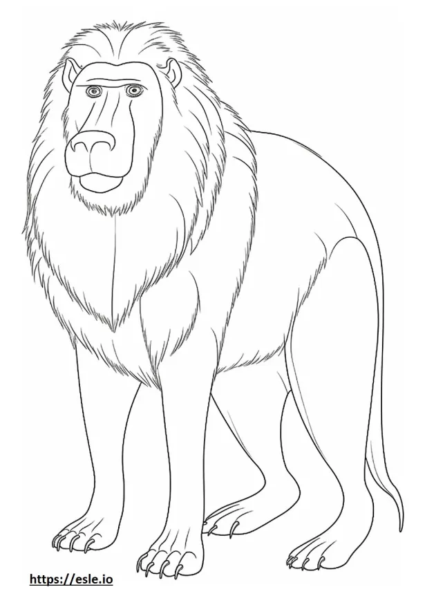 Baboon coloring pages free printable