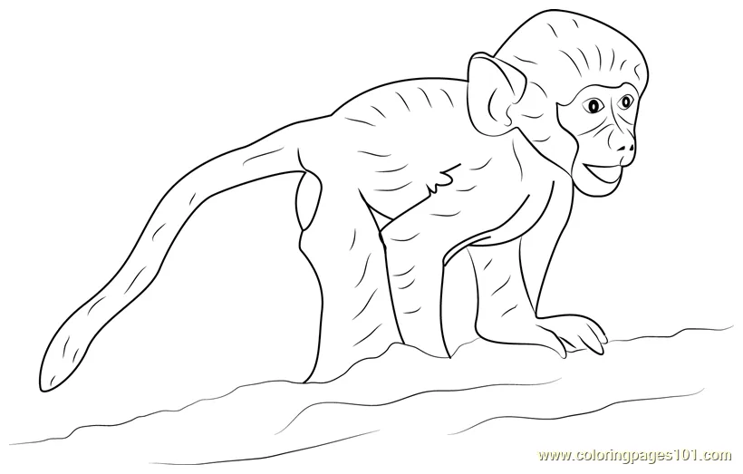 Happy baby baboon coloring page for kids free baboon printable