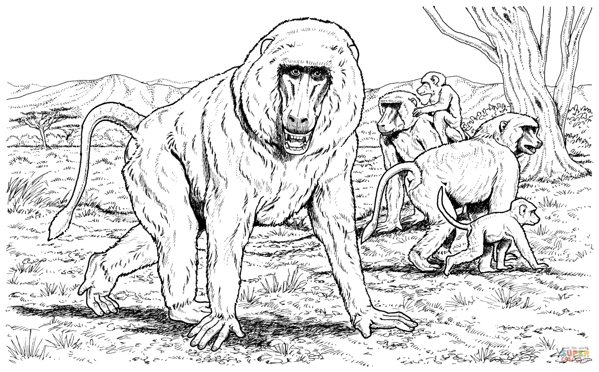 Baboon family coloring page supercoloring