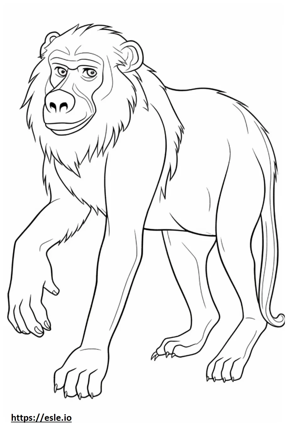 Baboon playing coloring page