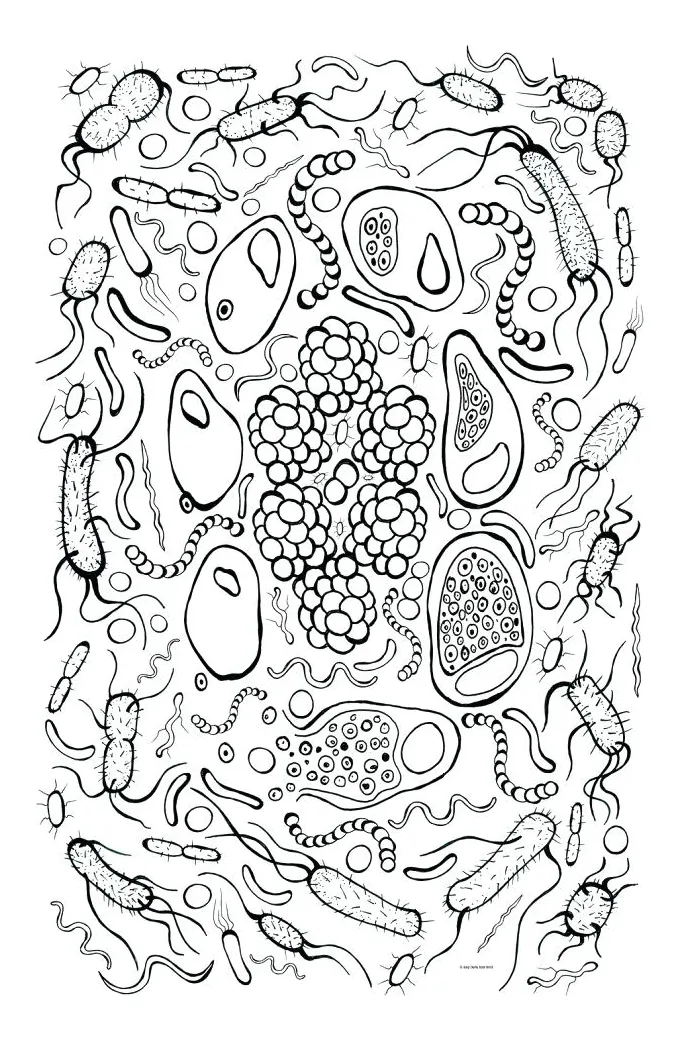 S at getcolorings free printable colorings