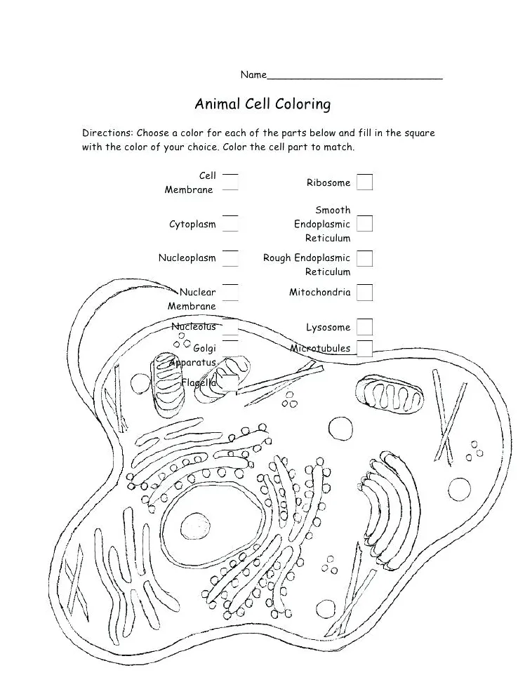 S at getcolorings free printable colorings