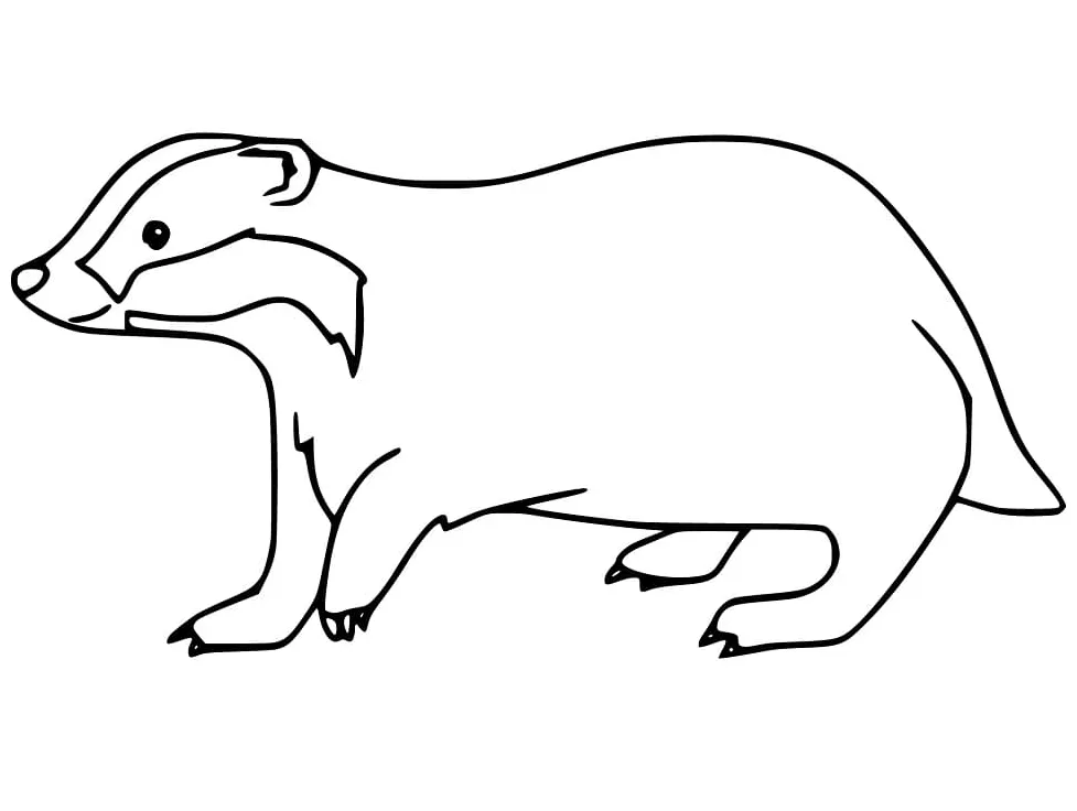 Badger coloring page