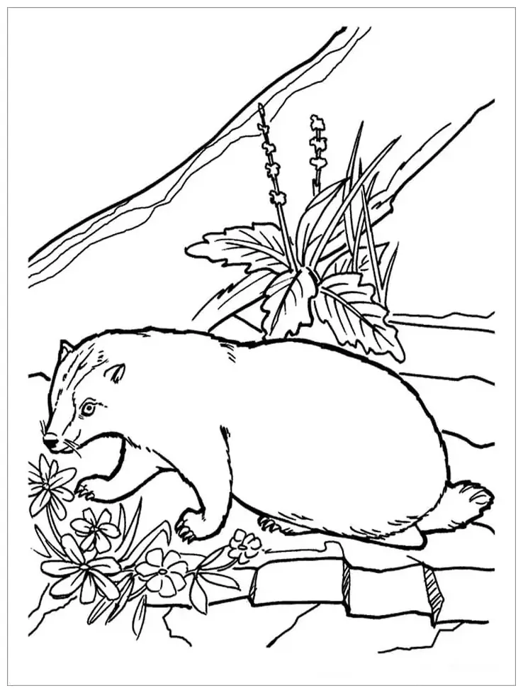 Printable free printable coloring pages for kids