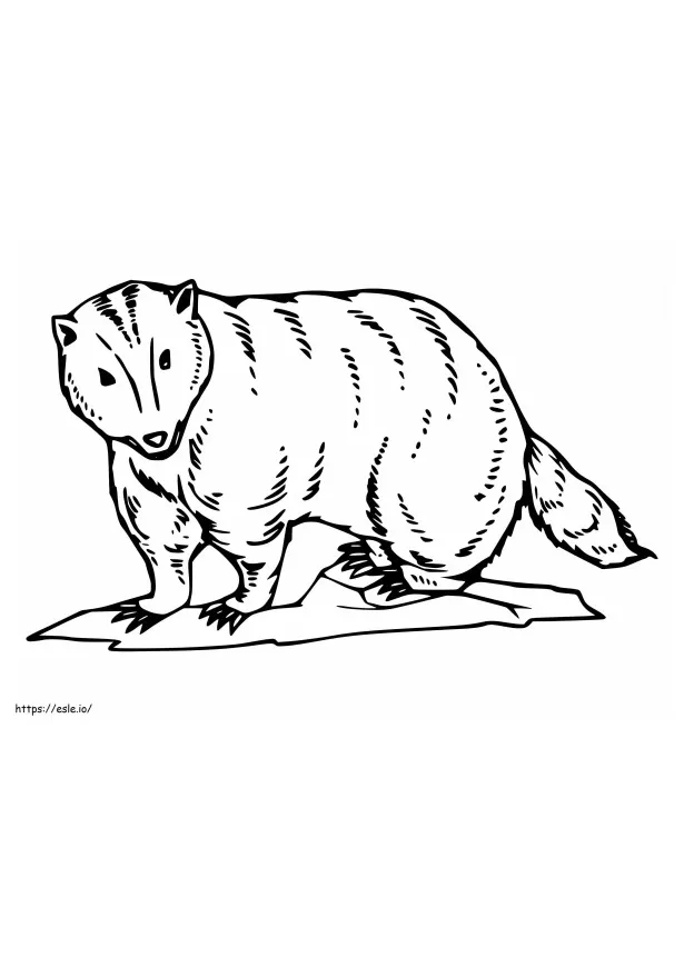 Badger 6 coloring page