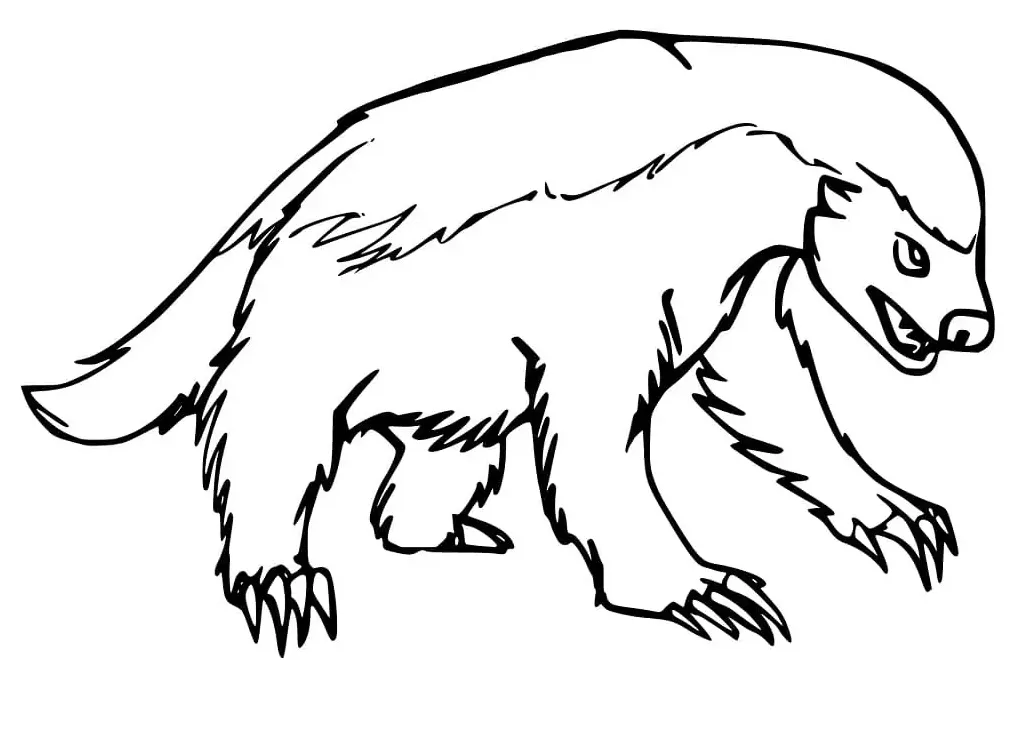 American badger 1 coloring page free printable coloring pages for kids