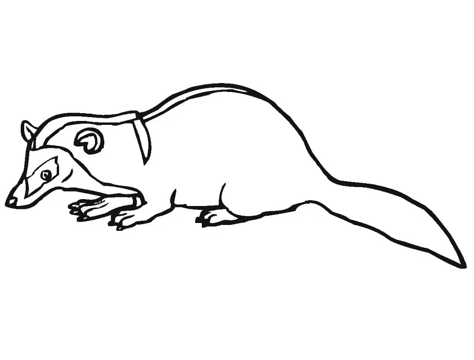 A wild badger coloring play free coloring game online