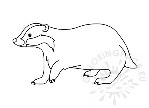 Animal badger coloring page coloring page