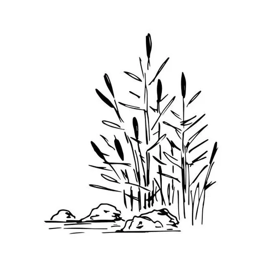 Adult coloring pages