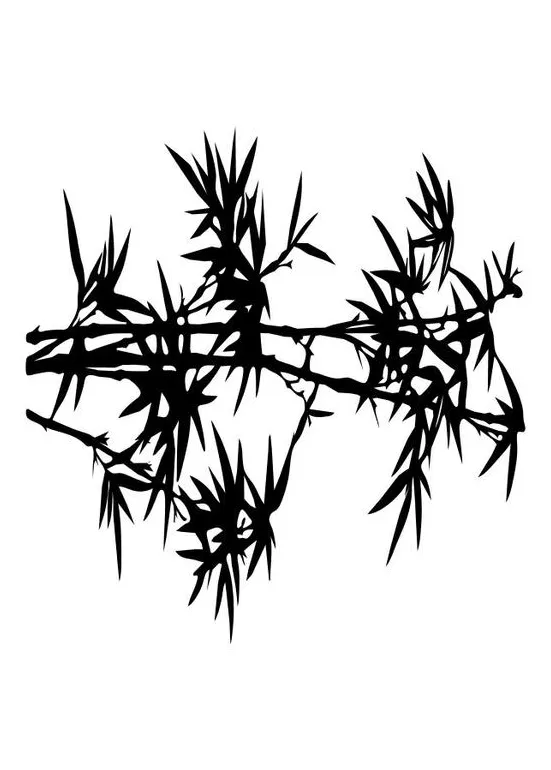 Coloring page bamboo free printables img 10095