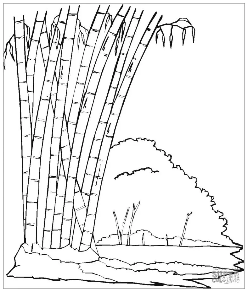 Bamboo coloring pages coloringbay