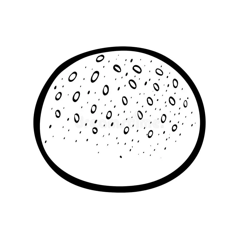 Coloring book, bun stock vector. illustration of fastfood 125179645