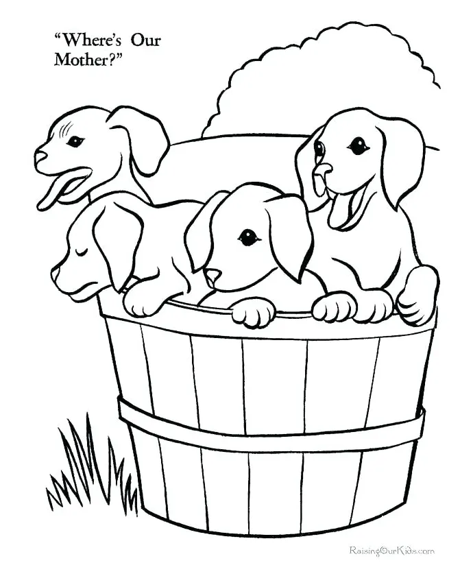 Barn Animals Coloring Pages at GetColorings.com | Free printable