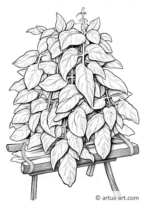 Basil in a Pot Coloring Page » Free Download » Artus Art