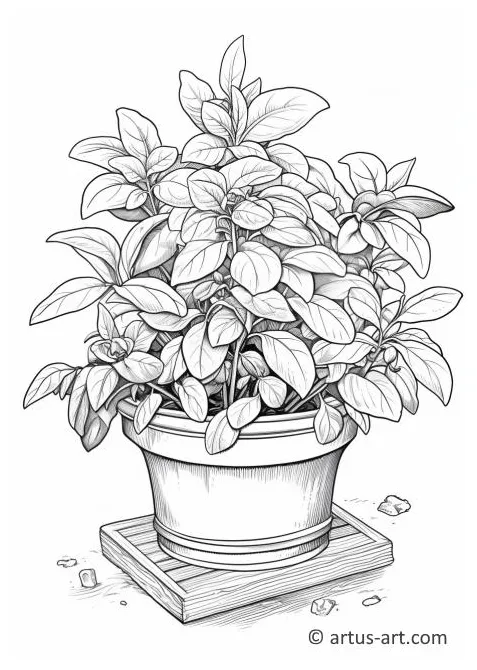 Basil in a Pot Coloring Page » Free Download » Artus Art