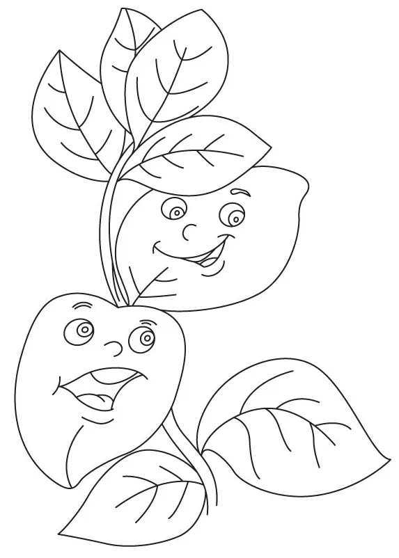 Basil leaves coloring page
