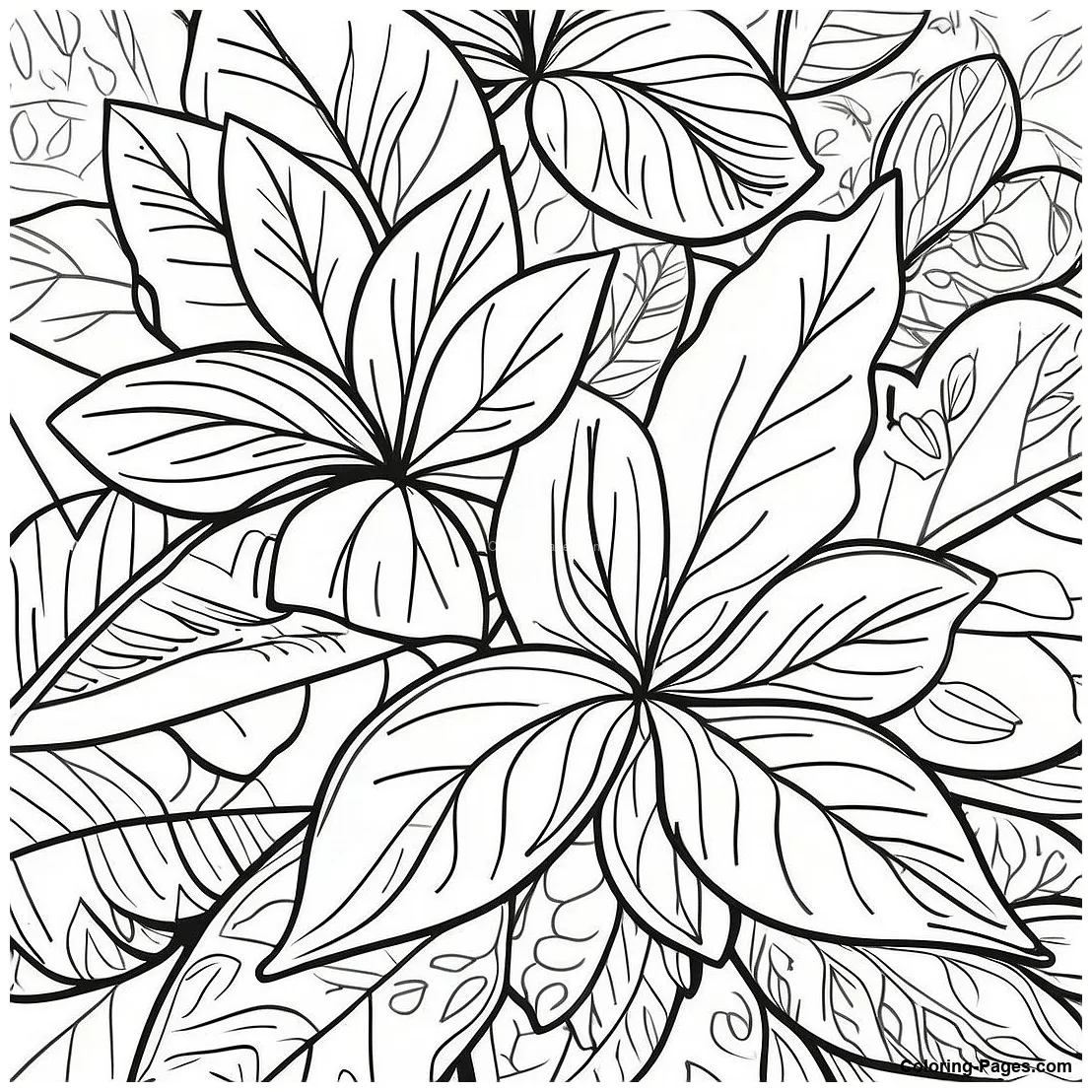 Detailed Basil Leaves Coloring Page | Coloring-Pages.com