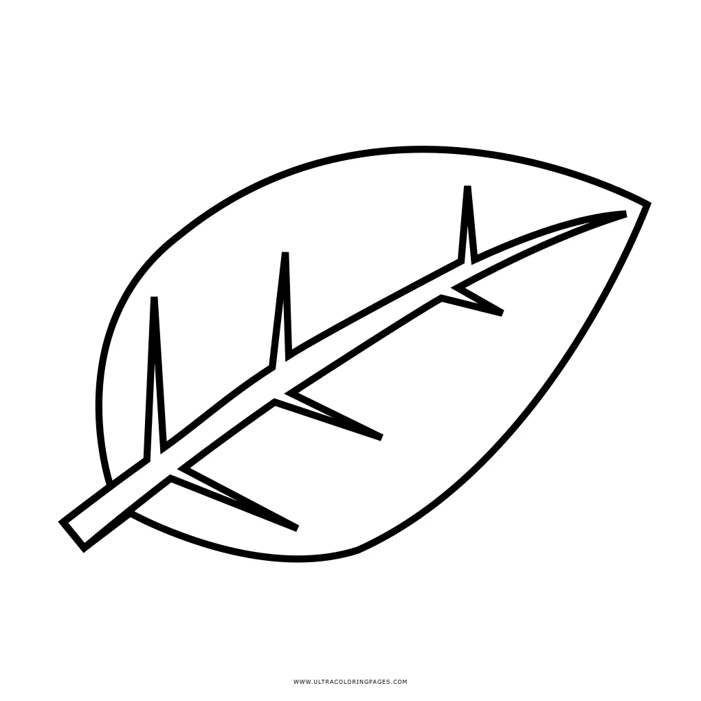 Basil Leaf Coloring Page - Free basil leaf Coloring Page For Kids